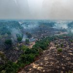 8 em cada 10 focos de fogo no Amazonas estão em imóveis rurais privados; queimadas disparam após o 1º turno