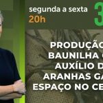 A Força do Agro #848: assista ao programa de 15/10/2026
