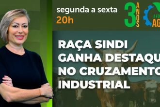 A Força do Agro #856: assista ao programa de 27/10/2026