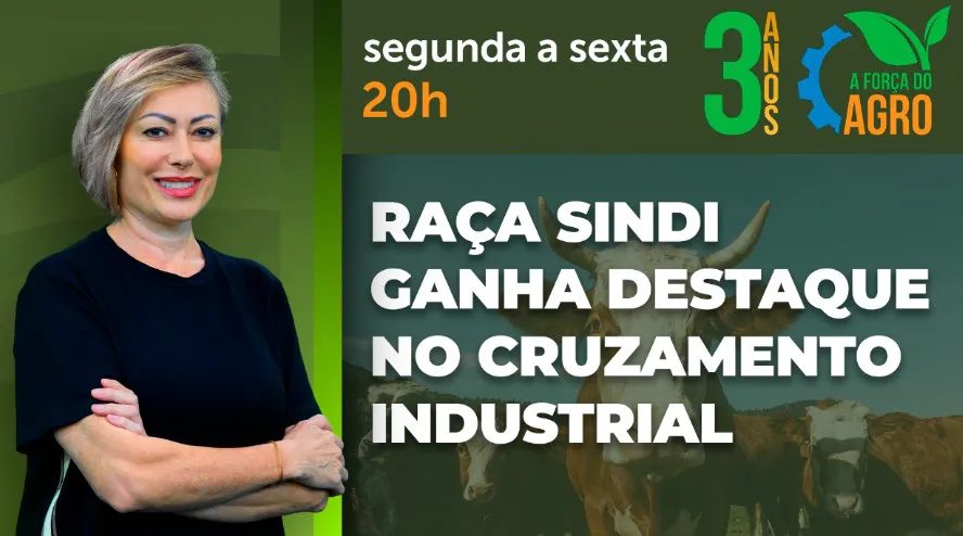 A Força do Agro #856: assista ao programa de 27/10/2026