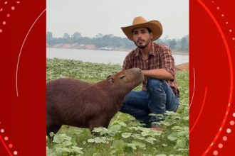'A gente não vai desistir dessa luta', diz influenciador após Justiça determinar devolução de capivara Filó ao Ibama