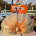 Abóbora de 1.500 kg bate recorde mundial e entra para o Guinness; fruto renderia 3 mil tortas