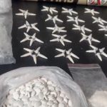 Adolescente é apreendido suspeito de armazenar mais 400 pinos de cocaína em Divinópolis