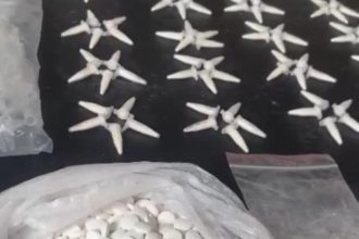 Adolescente é apreendido suspeito de armazenar mais 400 pinos de cocaína em Divinópolis