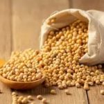 Agronegócio garante superávit comercial de US$ 7,74 bilhões em setembro