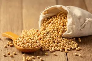 Agronegócio garante superávit comercial de US$ 7,74 bilhões em setembro