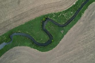 Agrotóxicos, água e câncer: por que a saúde virou tema das eleições em potência agrícola dos EUA