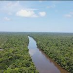 Alemanha afirma que vitória de Lula é boa notícia para Amazônia