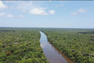 Alemanha afirma que vitória de Lula é boa notícia para Amazônia