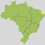 Allyson Bezerra x Cadu de Lula: acompanhe o 2º turno para governador no Rio Grande do Norte