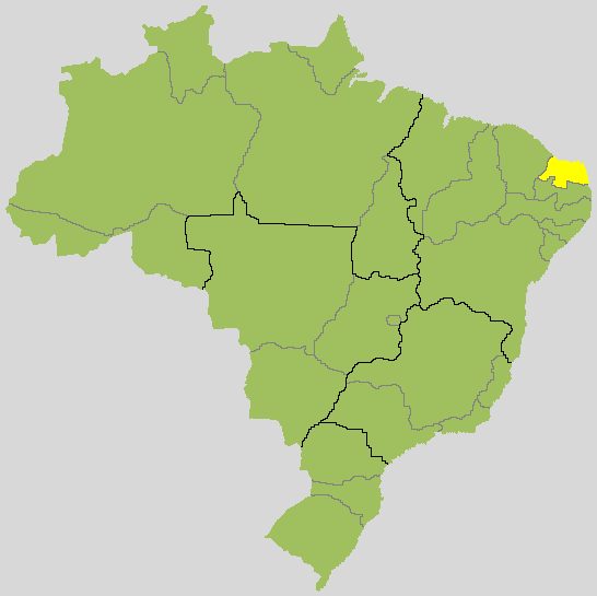 Allyson Bezerra x Cadu de Lula: acompanhe o 2º turno para governador no Rio Grande do Norte