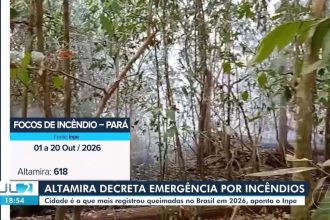 Altamira decreta situação de emergência por incêndios florestais no Pará