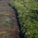 Amazônia emite mais CO₂ do que absorve, aponta estudo