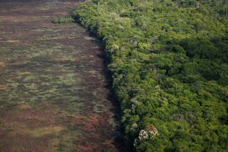 Amazônia emite mais CO₂ do que absorve, aponta estudo