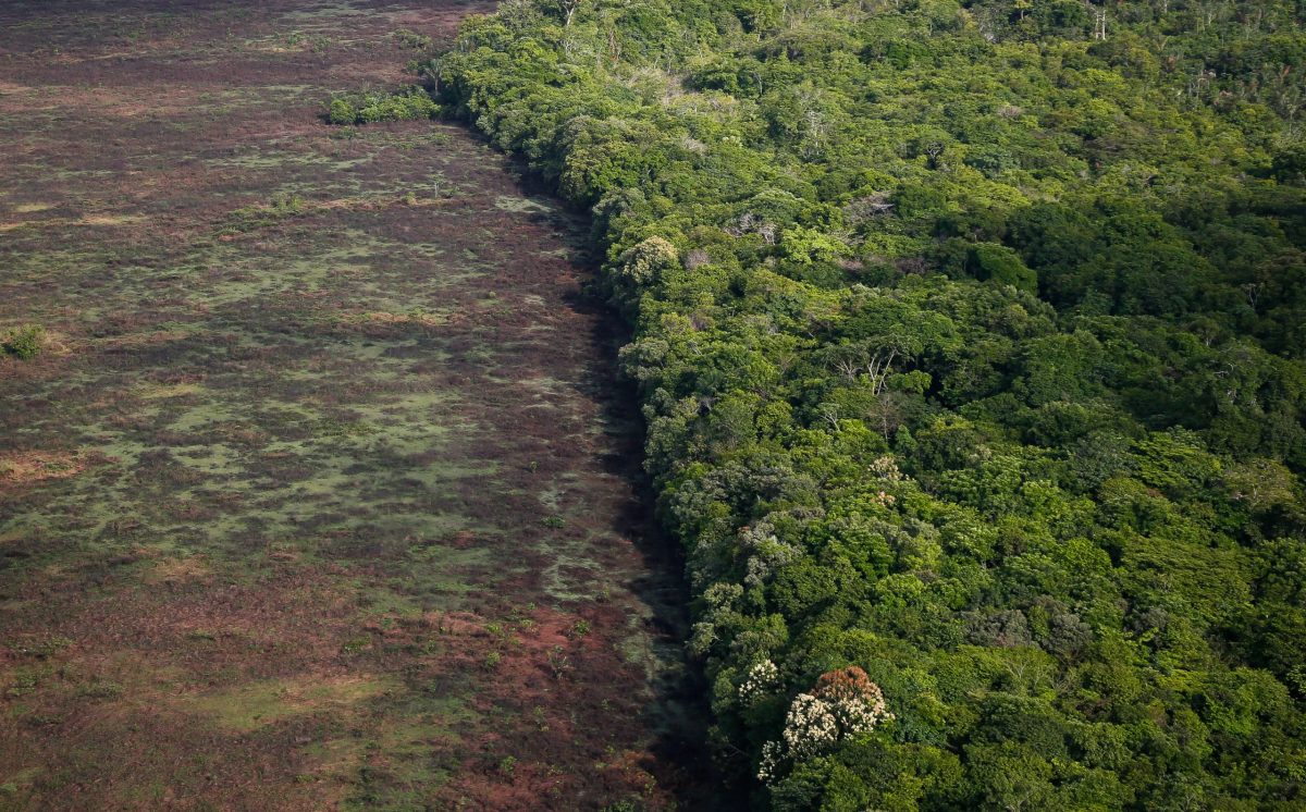 Amazônia emite mais CO₂ do que absorve, aponta estudo