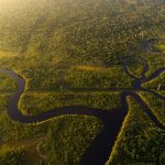 Amazônia registra menor desmatamento da série histórica em 2025, aponta MapBiomas
