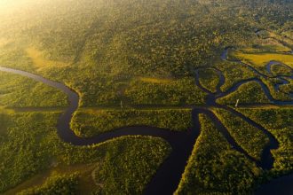 Amazônia registra menor desmatamento da série histórica em 2025, aponta MapBiomas