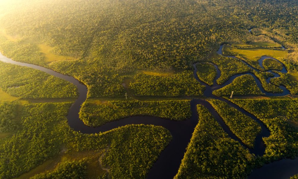 Amazônia registra menor desmatamento da série histórica em 2025, aponta MapBiomas