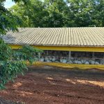 Apenas Santa Catarina vai deixar de exportar frango para a China, diz secretário do Ministério da Agricultura