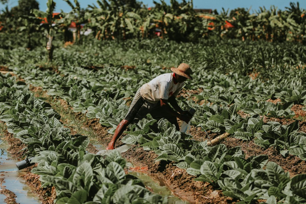 Após três anos de alta, pedidos de recuperação judicial no agro caem no 2º trimestre