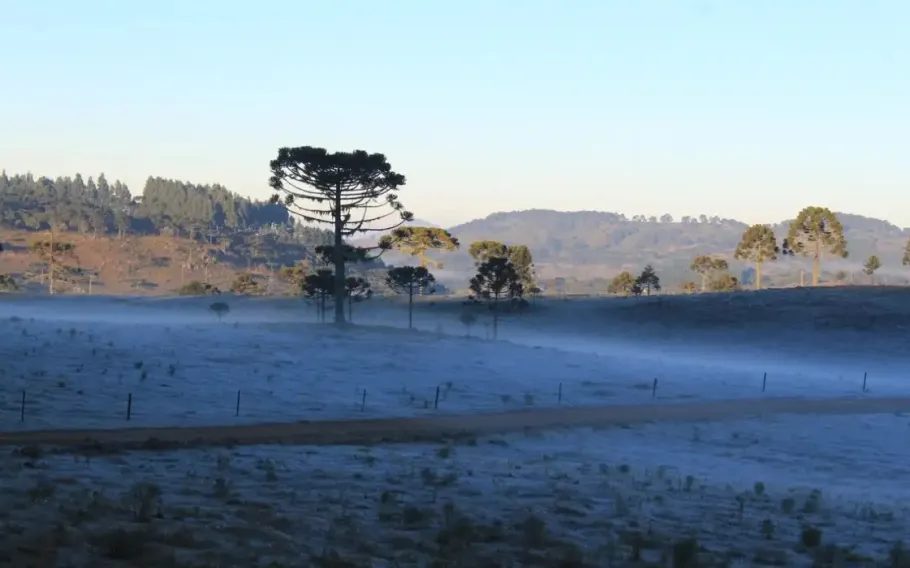 Ar polar avança em parte do país neste domingo