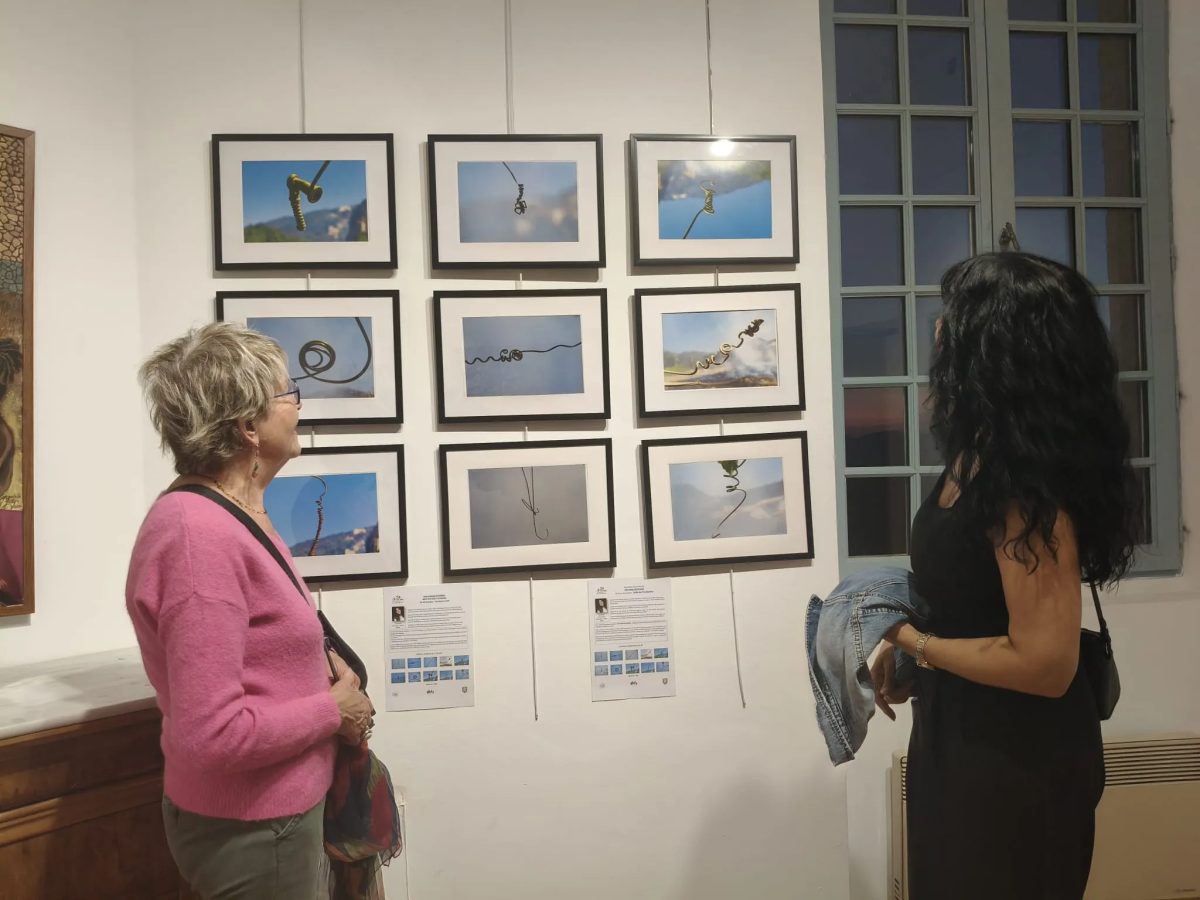 Artistas do interior da Bahia são destaque em exposição de arte internacional na França