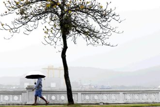 Baixada Santista e Vale do Ribeira têm previsão de chuva forte durante a semana; confira