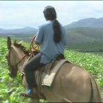 Baú do Globo Rural: relembre a história das filhas de seu 'Zé Izá', família que vivia isolada na Serra da Canastra