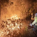 Bombeiros de SP prestam ajuda para combater incêndios no Amazonas