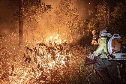 Bombeiros de SP prestam ajuda para combater incêndios no Amazonas