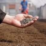 Brasil importa 85% dos fertilizantes e expõe fragilidade do agronegócio