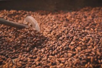 Cacau abre mercados para o Brasil, mas chocolate pode voltar a ser artigo de luxo devido à crise climática