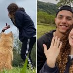 Cachorrinha 'invade' pedido de casamento, rouba a cena e momento viraliza; VÍDEO