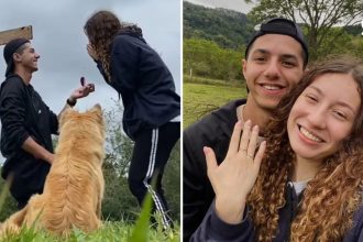 Cachorrinha 'invade' pedido de casamento, rouba a cena e momento viraliza; VÍDEO