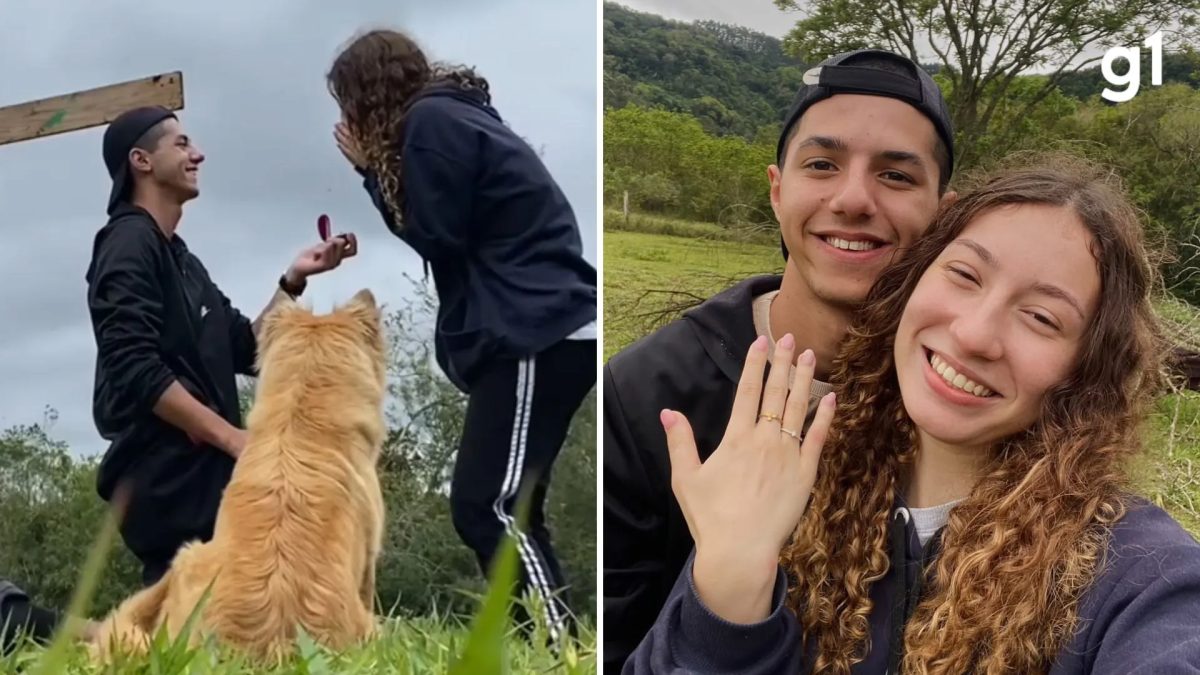 Cachorrinha 'invade' pedido de casamento, rouba a cena e momento viraliza; VÍDEO