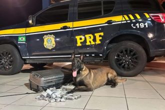 Cães farejadores encontram 4,1 kg de haxixe escondidos em mala em ônibus na Dutra, em Caçapava