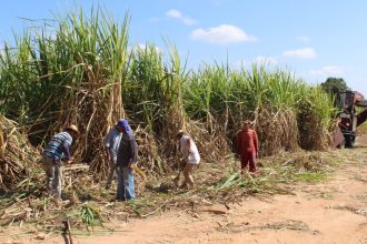 Câmara aprova projeto que prevê incentivos para a produção de cana no Nordeste