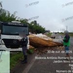 Carreta carregada com batatas tomba e espalha carga em rodovia de Itapetininga
