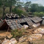 Carreta carregada com soja tomba e motorista morre em rodovia no interior de MG