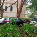 Chuva forte causa queda de árvores e falta de energia no Sul de Minas