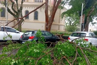 Chuva forte causa queda de árvores e falta de energia no Sul de Minas
