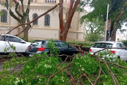 Chuva forte causa queda de árvores e falta de energia no Sul de Minas