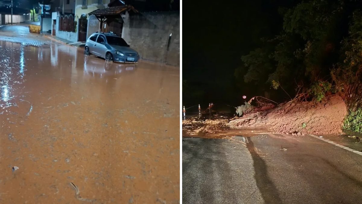 Chuva forte mata oito bovinos e provoca alagamento e deslizamento em São Luiz do Paraitinga, SP