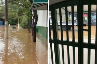 Chuva provoca pontos de alagamento e queda de árvores na região de Campinas