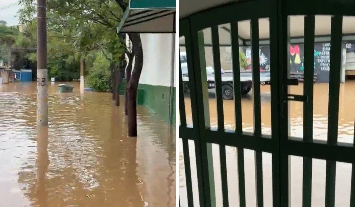 Chuva provoca pontos de alagamento e queda de árvores na região de Campinas