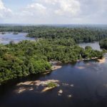 Código Florestal: implementação pode criar 3,1 mi de empregos