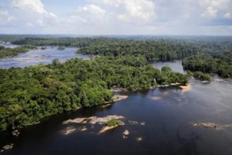 Código Florestal: implementação pode criar 3,1 mi de empregos