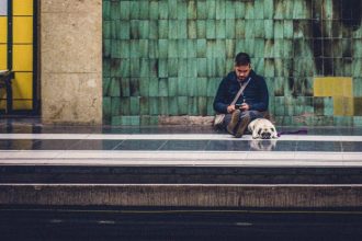 Como levar animais de estimação nos trens e ônibus de São Paulo