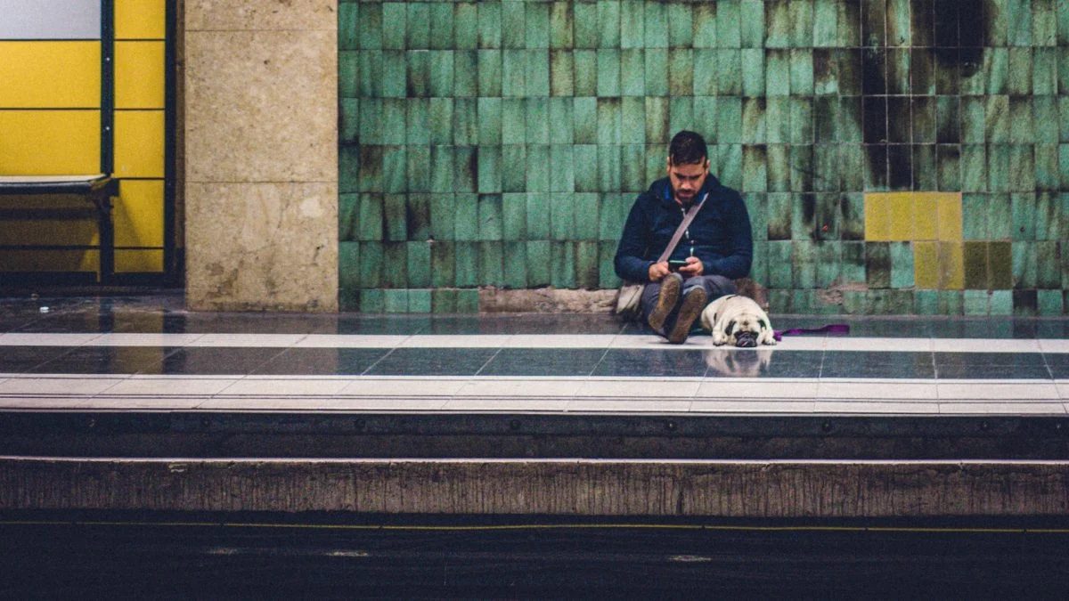 Como levar animais de estimação nos trens e ônibus de São Paulo