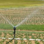 Crise de água na Espanha ameaça abastecimento agrícola da Europa